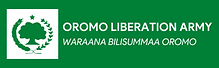 Site Footer Logo .png
